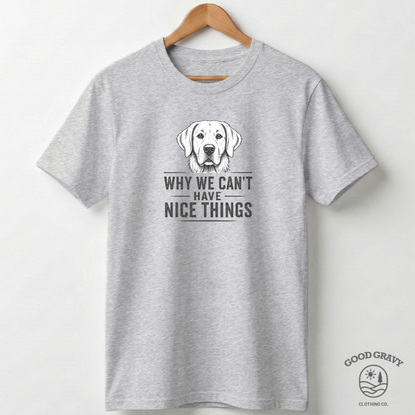 Why We Can't Have Nice Things