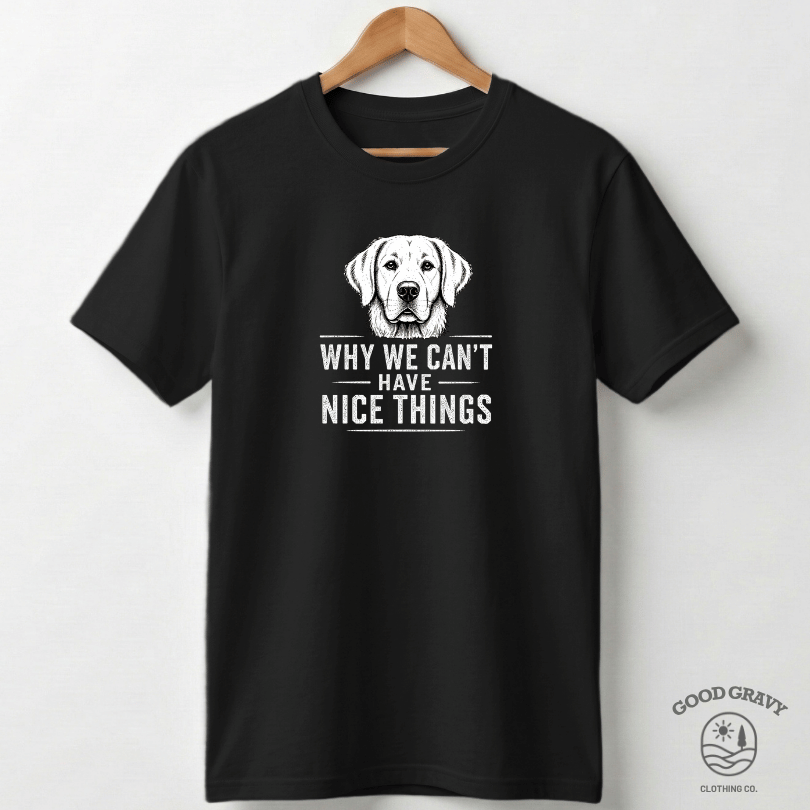 Why We Can't Have Nice Things