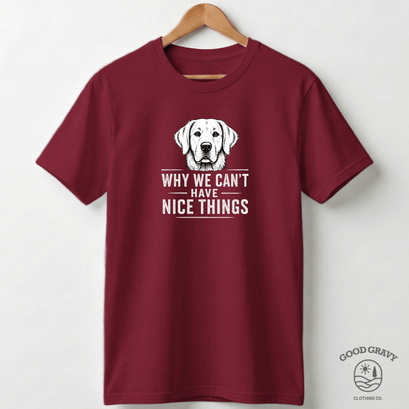 Why We Can't Have Nice Things