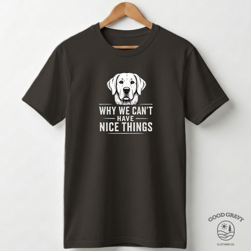Why We Can't Have Nice Things