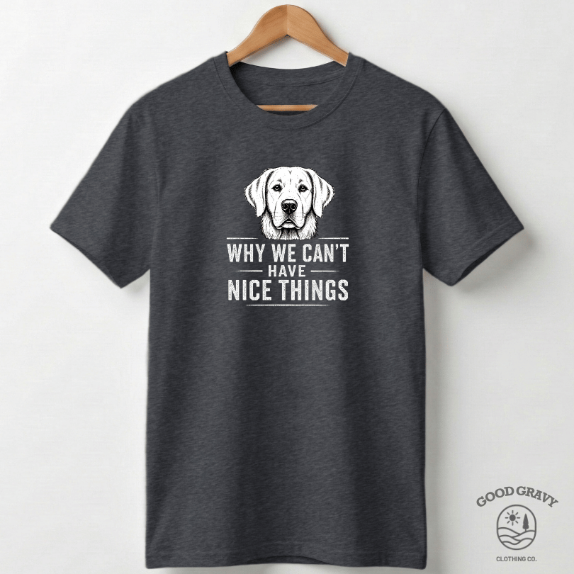 Why We Can't Have Nice Things