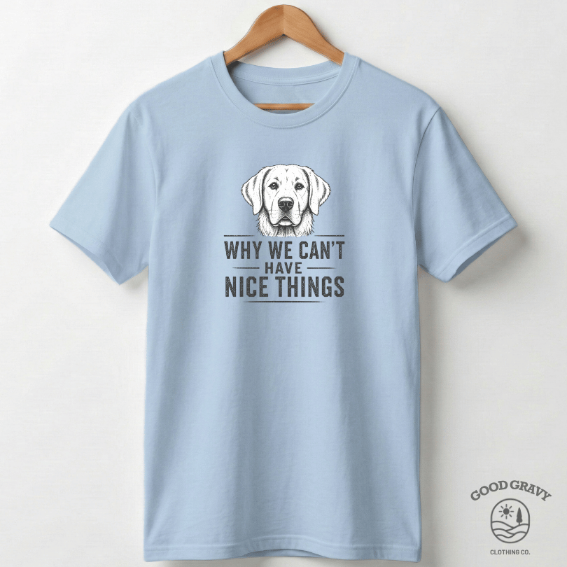 Why We Can't Have Nice Things