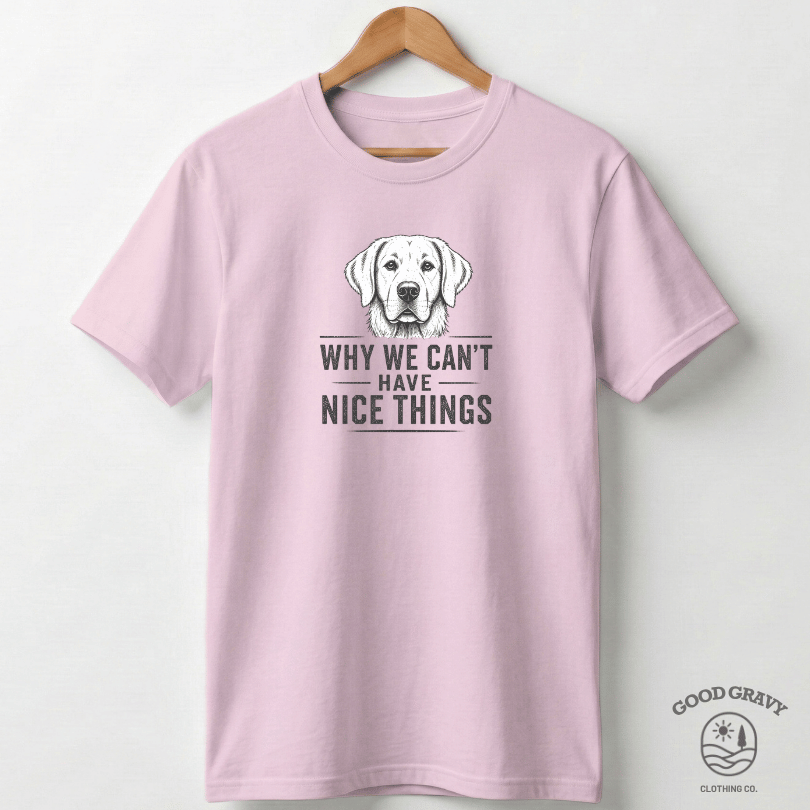 Why We Can't Have Nice Things