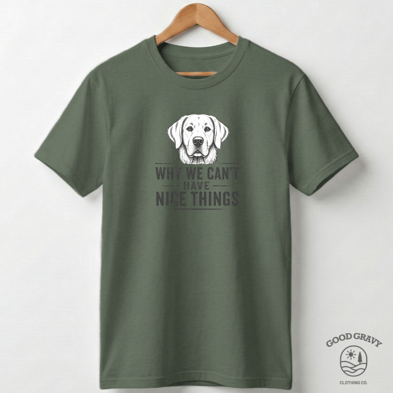 Why We Can't Have Nice Things