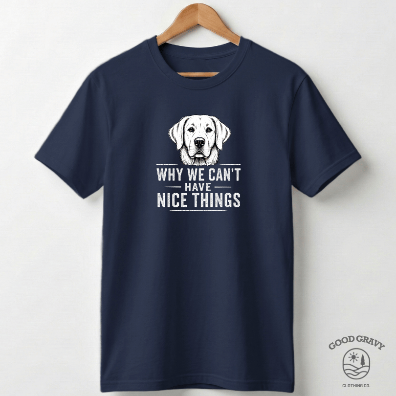 Why We Can't Have Nice Things