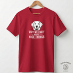 Why We Can't Have Nice Things