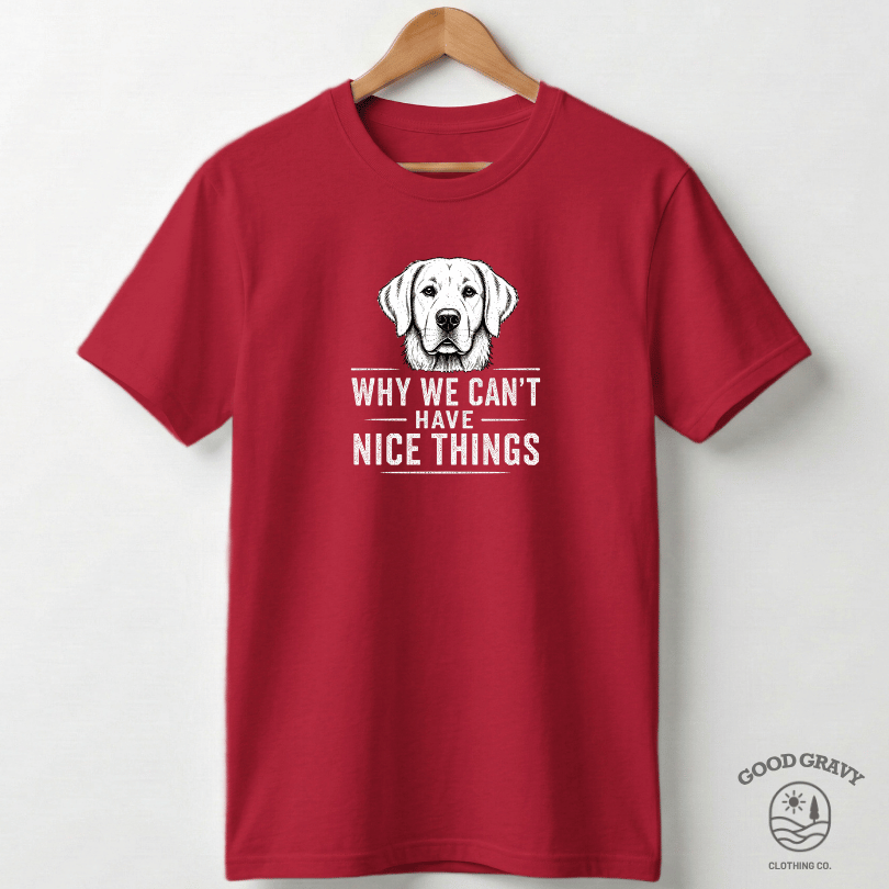 Why We Can't Have Nice Things