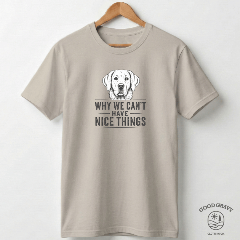 Why We Can't Have Nice Things