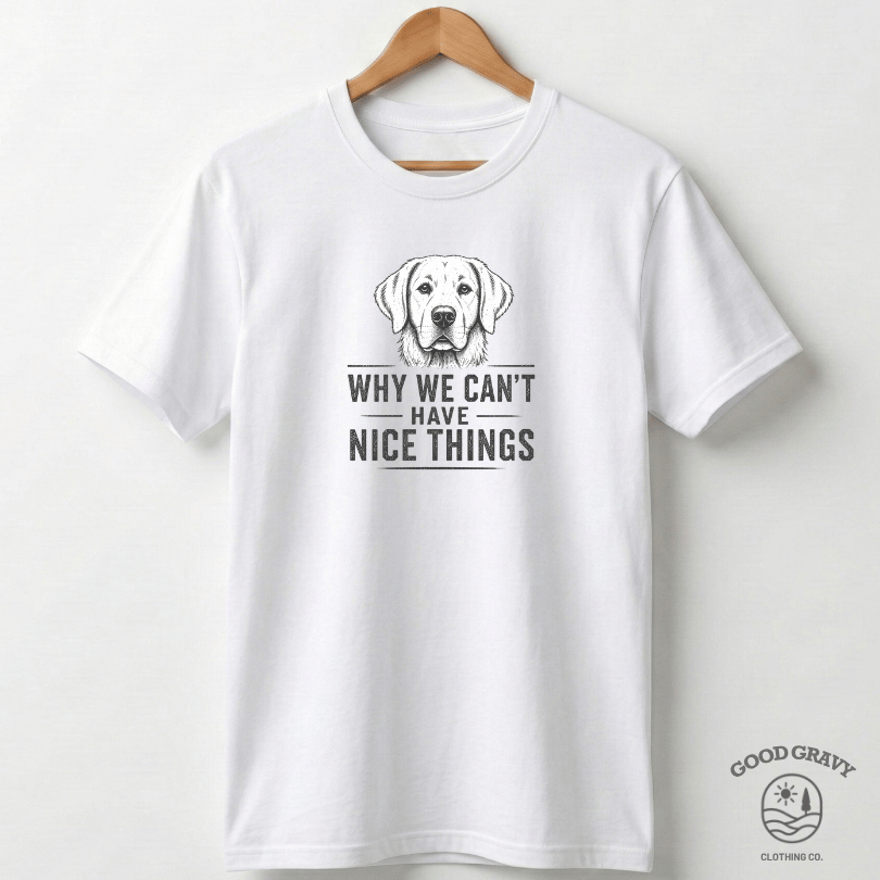 Why We Can't Have Nice Things