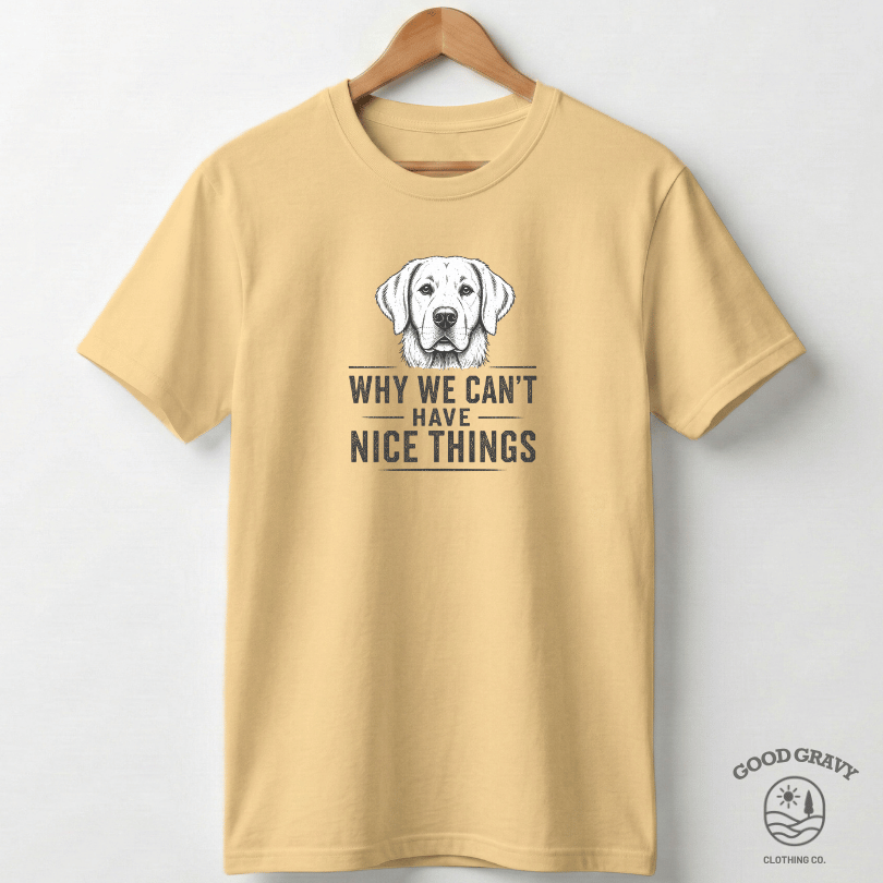 Why We Can't Have Nice Things